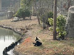 -上海野生动物园