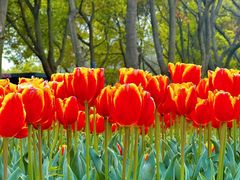 -玄武湖景区-情侣园游乐场