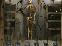 -信不信由你博物馆