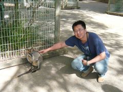 -费瑟代尔野生动物园