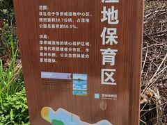-华侨城湿地公园