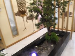 点击看大图 -芳朵美容养生SPA