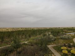 -亿利库布其七星湖沙漠生态旅游区