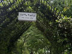 -阳澄湖半岛旅游度假区