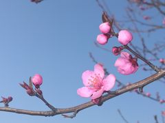 -上海辰山植物园