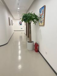 -丰联丽格医疗美容·联合丽格眼整形中心