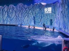 -珠海长隆海洋王国