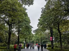 -海珠湖公园