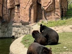 -泉州海丝野生动物世界