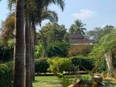 -中国科学院西双版纳热带植物园