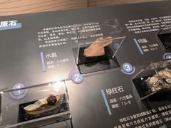 -广西壮族自治区博物馆