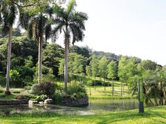-云溪植物园