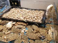 -九月海·海鲜自助(世纪东方店)