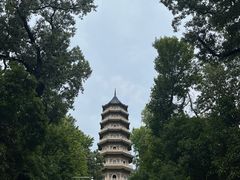 -灵谷景区