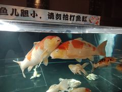 -北京海德酒店温泉