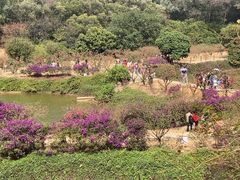 -南国桃园旅游度假区