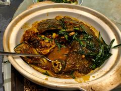 外塘大甲鱼-海景壹号大酒店(滨湖店)