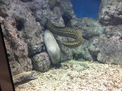 -福州罗源湾海洋世界旅游区