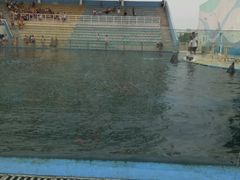 -北戴河圣蓝海洋公园