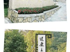 -铁山坪森林公园