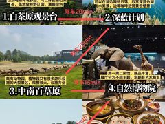 -阿露佳·舌尖上的安吉菜