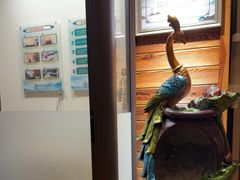 -竹雀古法采耳(青岛麦凯乐店)