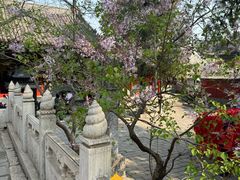 -红螺寺