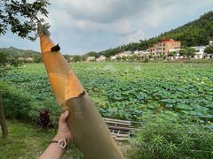 -红山村