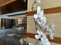 -汉拿山温泉度假酒店