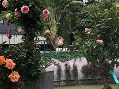 -人民公园(罗湖区)