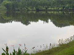 -东莞植物园