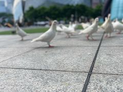 -IPARK购物中心