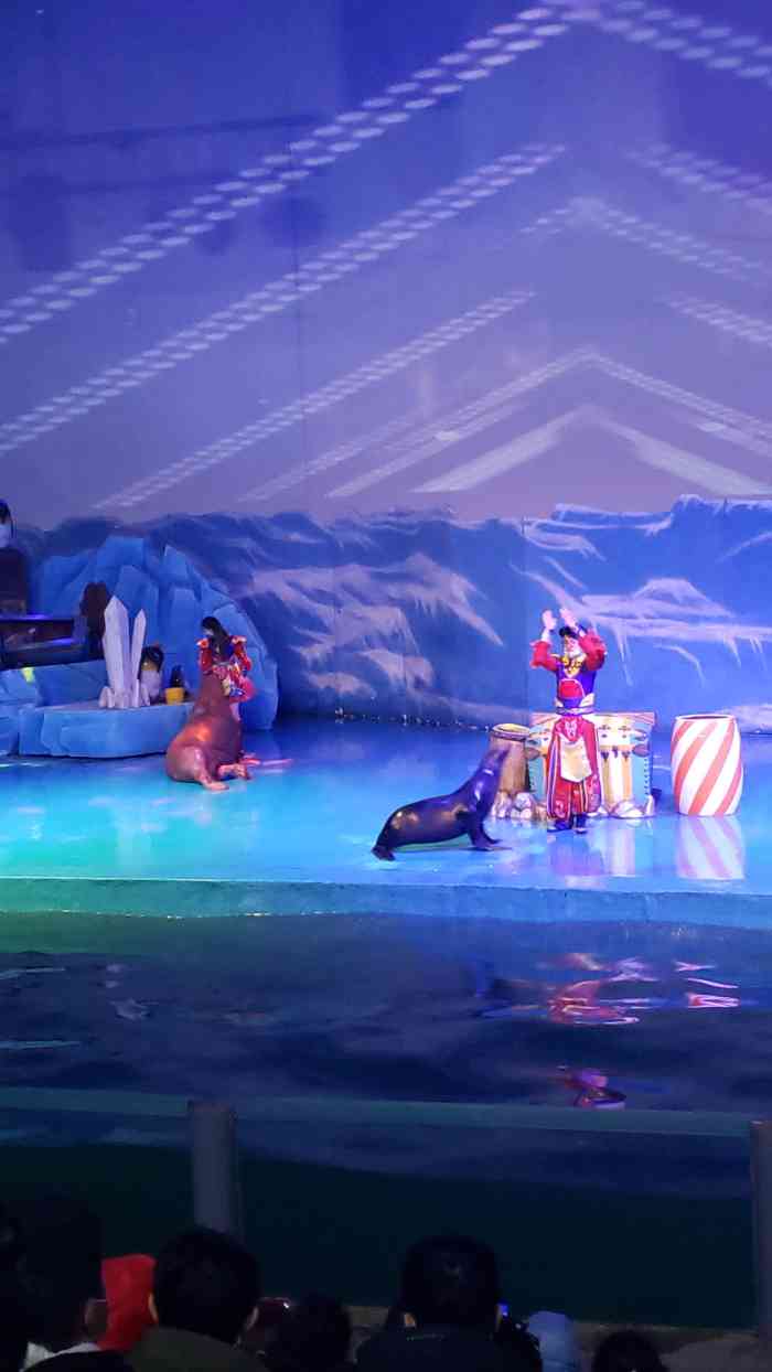 大连圣亚海洋世界-"【一句儿】海底传奇隧道真的特别漂亮,有各.