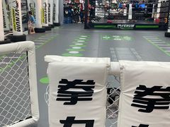 -拳力汇散打搏击泰拳俱乐部(绿地缤纷城店)