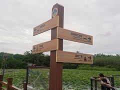 -大湾区中央湿地公园