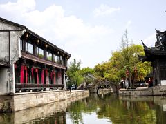 -鲁镇