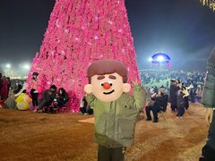 -大塘金香草谷