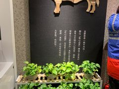 -吉野家(西客站南广场店)