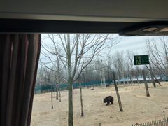 -秦皇岛野生动物园