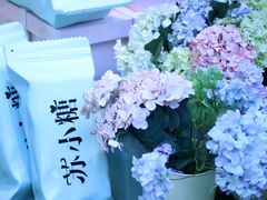 -苏小糖(鼓浪屿三丘田花园店)
