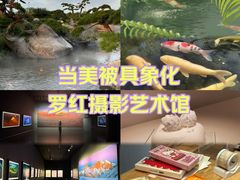 -罗红摄影艺术馆