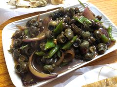 炒田螺-蚝哥花姐湛江烤生蚝(美丽湾市场店)