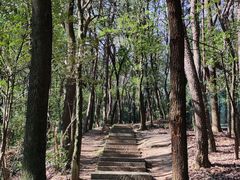 -九曜山