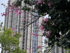 -潮福城大酒楼(北尚店)