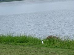 -东湖数字小镇