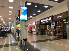 -谢列梅捷沃国际机场