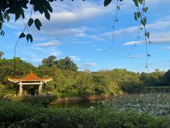 -大屏嶂森林公园