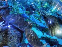 -成都浩海立方海洋公园