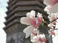 -玲珑塔公园