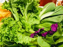 -草原塞蛮羊火锅城(港湾店)